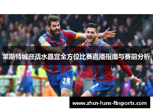 莱斯特城迎战水晶宫全方位比赛直播指南与赛前分析