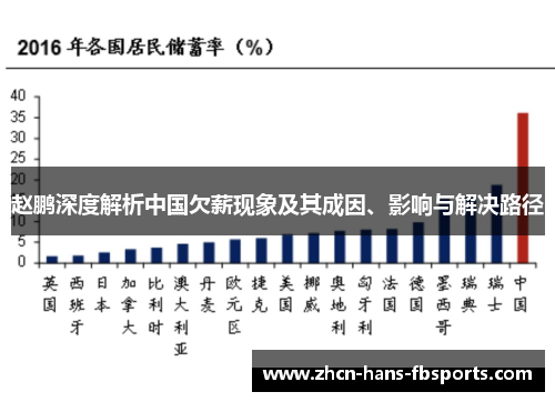 赵鹏深度解析中国欠薪现象及其成因、影响与解决路径