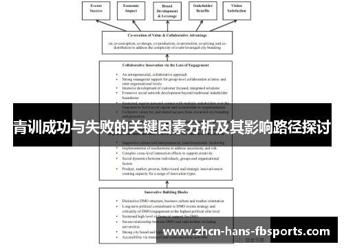 青训成功与失败的关键因素分析及其影响路径探讨