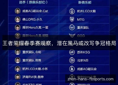 王者荣耀春季赛观察,潜在黑马或改写争冠格局 王者荣耀春季赛观察,潜在黑马或改写争冠格局